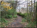 Footpath at Largybeg