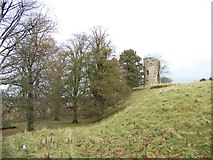 NS8431 : The remains of the 13th century Douglas Castle by Elliott Simpson