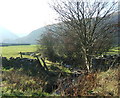 Beck near Moss Dyke Farm