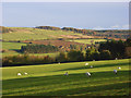 SP0224 : Pastures near Winchcombe by Andrew Smith