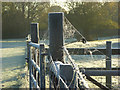 Gate, fences and cobwebs, Hurley