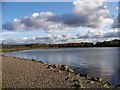 Lochend Loch, Drumpellier Country Park