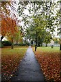 Footpath through the autumn leaves