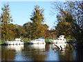 The River Thames, Hurley