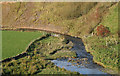 The Capel Burn