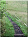 Footpath steps down the bank