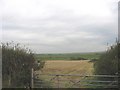 Harvested cropland at Henllys Fawr Farm