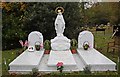 St Pancras & Islington Cemetery - Grave