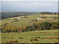 Pastures above Studdon Park (2)