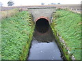 Tunnel watercourse near Thornham Farm