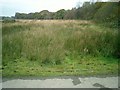 Moor from track leading to Welsh Moor Farm