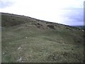 Old workings on the side of Foel Dyrch