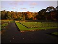 Autumn Colour, Wellholme Park, Brighouse