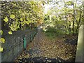 Footpath to Godley Vale