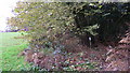 Footpath leaves green on golf course