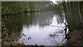 Unnamed pond near Enton Hall