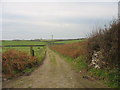 Farm road to Bryngwyn Farm