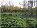 Meden Vale - Footpath to the River Meden