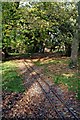 Hotham Park Miniature Railway track