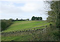 2008 : Looking toward Motcombe Farm