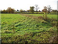 Newyears Green: Mad Bess Brook