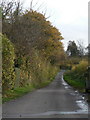 Furzehill: the lane to Barnsley