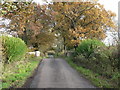 Furzehill: bridge over the River Allen