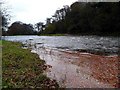 Rapids on the River Ayr