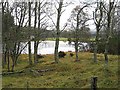 Lochan by the Cateran Trail