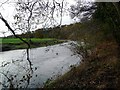 The River Ayr at Stair