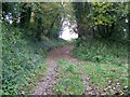 Bridleway, Cheselbourne