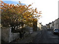 Macleod Street, Nelson