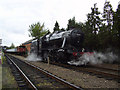 SK5419 : Locomotive 8f 48305 at Loughborough by Ashley Dace