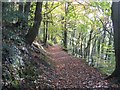 Upper footpath at Moss Valley Country Park