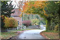 The road past Maunby Hall