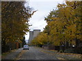 Autumn colours, Tranmore Lane, Eggborough