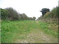 Bridleway near Cheselbourne