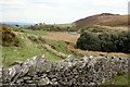 Stonewall and hillside