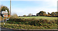 Pasture at Presseys Corner, Alderholt, Dorset