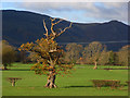 Pastures, Keswick