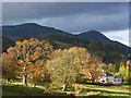 Trees and pasture, Braithwaite