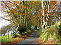 Lane above Machen