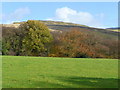 Looking towards Twmbarlwm