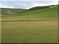 Looking towards Headshaw