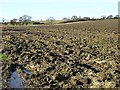 Ploughed field at Abshield