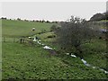 Stream near Hartburn