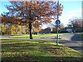 Roundabout on Lords Wood Lane