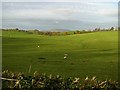 Derryvore Townland