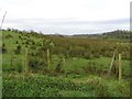 Lehill Townland