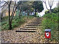 Steps to Medlar Grove in Whitegate Wood